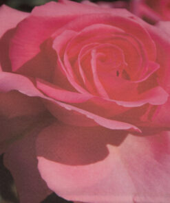 Fabric Store - Διακοσμητικό ύφασμα με φάρδος 2,80m, με επαναλαμβανόμενα μοτίβα λουλούδια (τριαντάφυλλο) 45cm x 45cm για διακοσμητικά μαξιλαράκια.